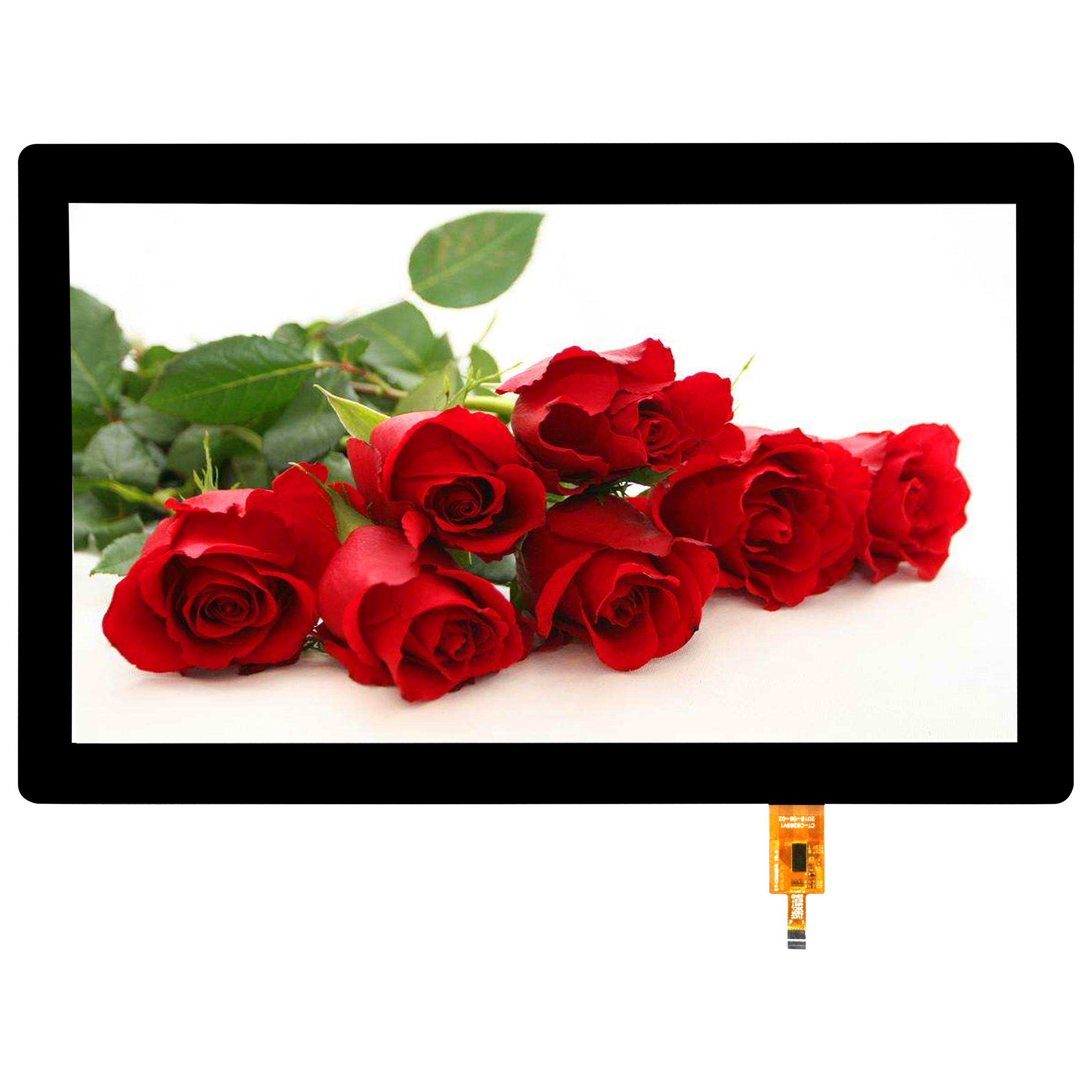 mg不朽情缘(中国区)官方网站