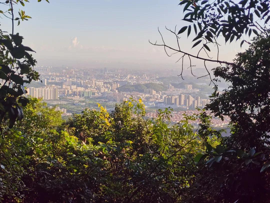mg不朽情缘(中国区)官方网站